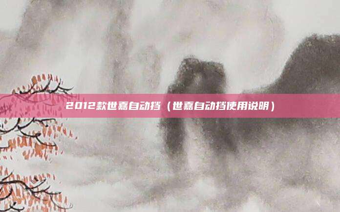 2012款世嘉自动挡(世嘉自动挡使用说明)