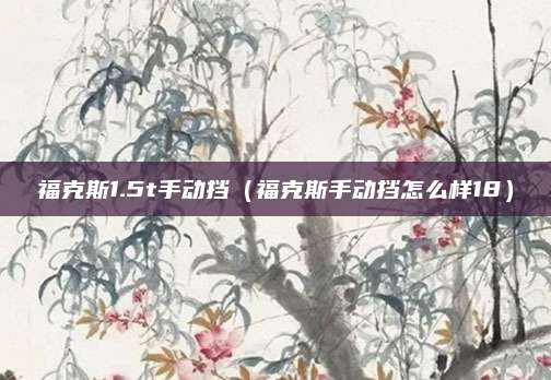 福克斯1.5t手动挡(福克斯手动挡怎么样18)