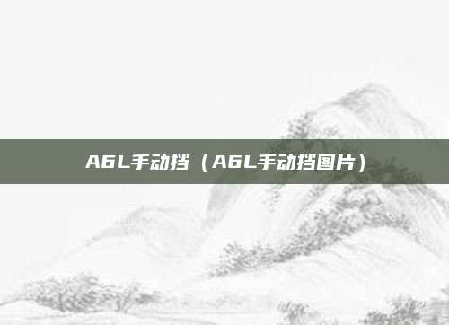A6L手动挡(A6L手动挡图片)