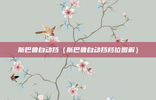 斯巴鲁自动挡(斯巴鲁自动挡档位图解)