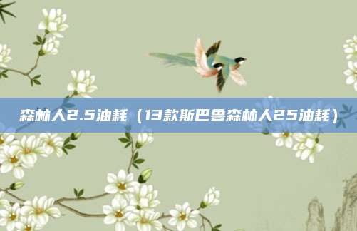 森林人2.5油耗(13款斯巴鲁森林人25油耗)