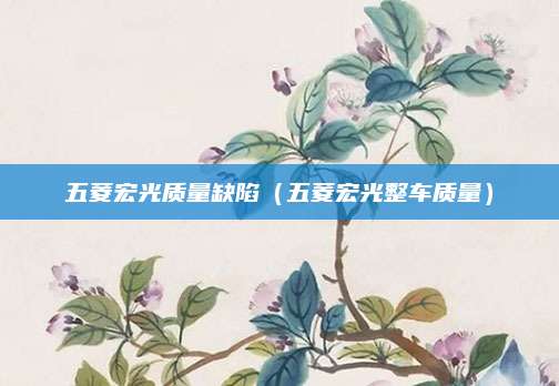 五菱宏光质量缺陷(五菱宏光整车质量)
