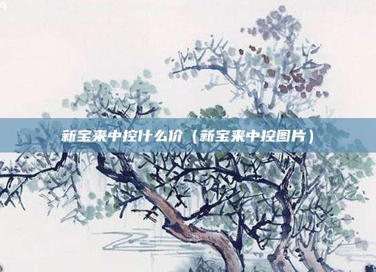 新宝来中控什么价(新宝来中控图片)