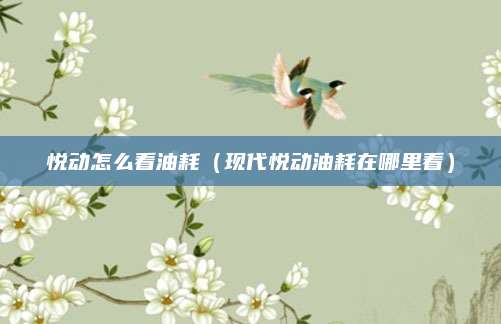 悦动怎么看油耗(现代悦动油耗在哪里看)