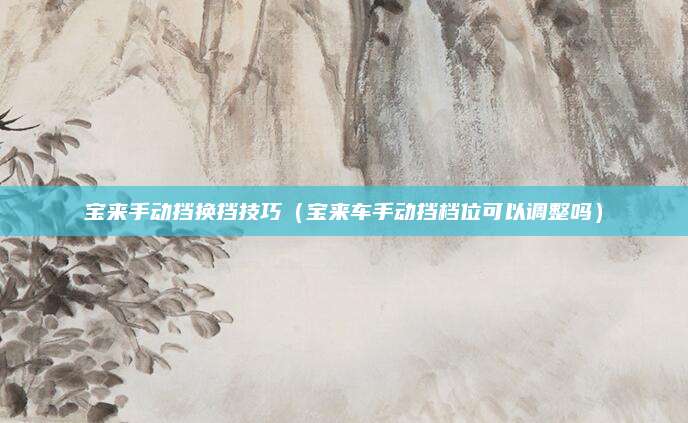 宝来手动挡换挡技巧（宝来车手动挡档位可以调整吗）