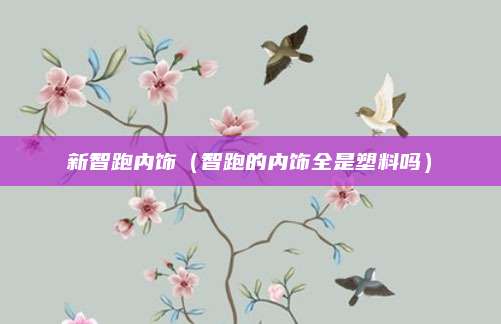 新智跑内饰(智跑的内饰全是塑料吗)