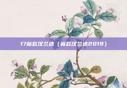 17新款汉兰达(新款汉兰达2019)