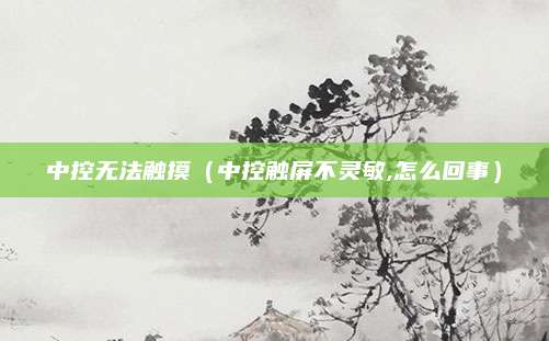 中控无法触摸(中控触屏不灵敏,怎么回事)