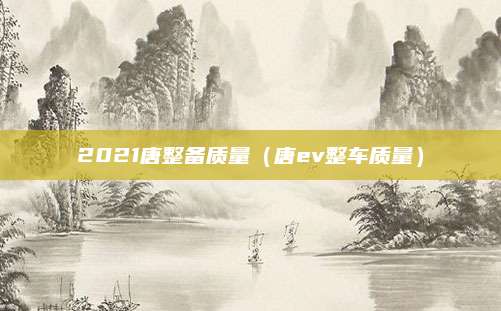 2021唐整备质量(唐ev整车质量)