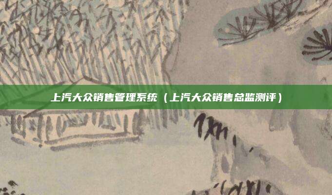 上汽大众销售管理系统(上汽大众销售总监测评)