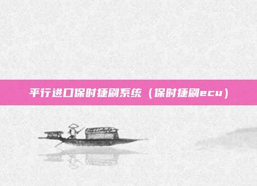 平行进口保时捷刷系统(保时捷刷ecu)