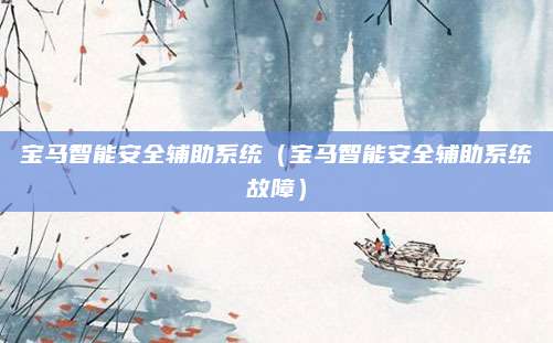 宝马智能安全辅助系统（宝马智能安全辅助系统故障）