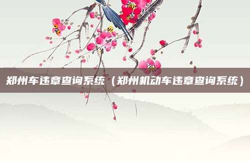 郑州车违章查询系统(郑州机动车违章查询系统)