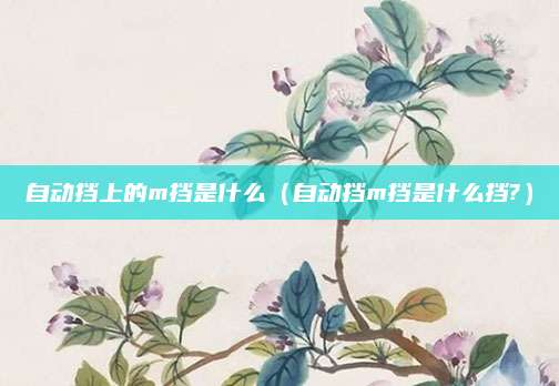 自动挡上的m挡是什么（自动挡m挡是什么挡?）