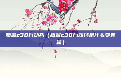 腾翼c30自动挡(腾翼c30自动挡是什么变速箱)