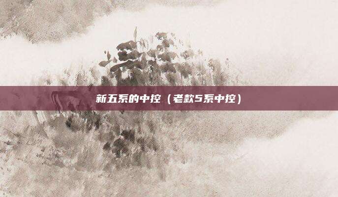 新五系的中控(老款5系中控)