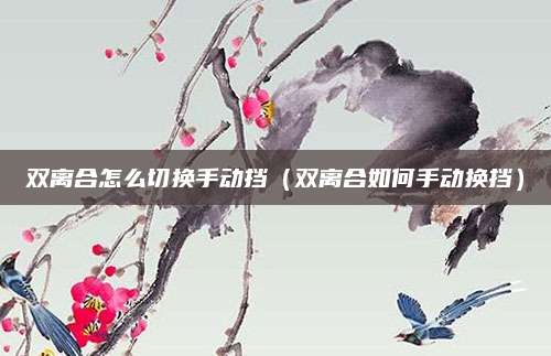 双离合怎么切换手动挡(双离合如何手动换挡)