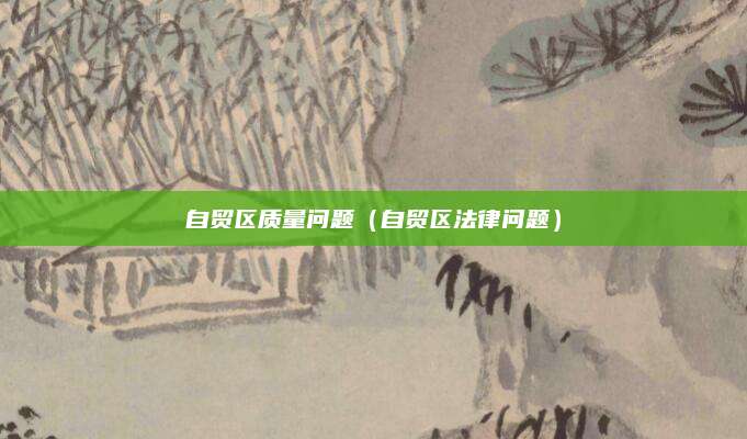 自贸区质量问题(自贸区法律问题)