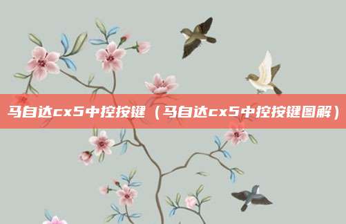 马自达cx5中控按键(马自达cx5中控按键图解)