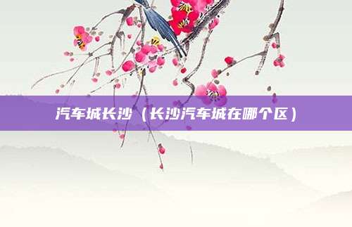 汽车城长沙(长沙汽车城在哪个区)