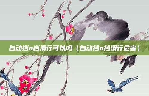 自动挡n档滑行可以吗(自动挡n挡滑行危害)