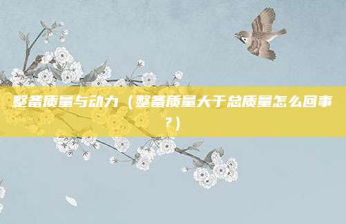 整备质量与动力(整备质量大于总质量怎么回事?)