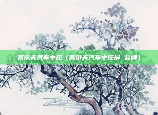 高尔夫汽车中控(高尔夫汽车中控屏 品牌)