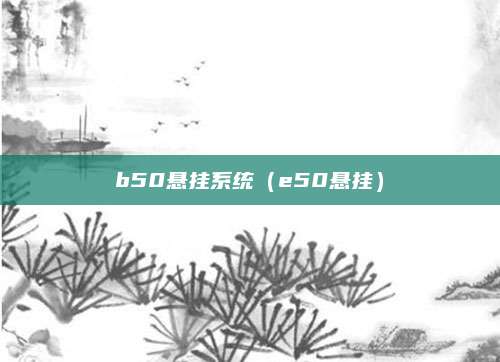 b50悬挂系统(e50悬挂)