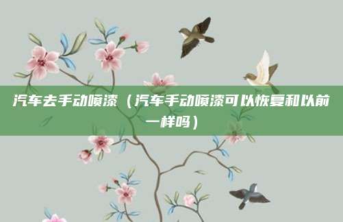 汽车去手动喷漆(汽车手动喷漆可以恢复和以前一样吗)