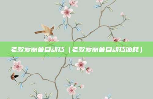 老款爱丽舍自动挡（老款爱丽舍自动挡油耗）