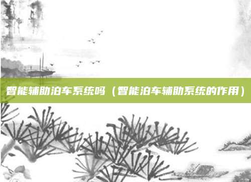智能辅助泊车系统吗(智能泊车辅助系统的作用)
