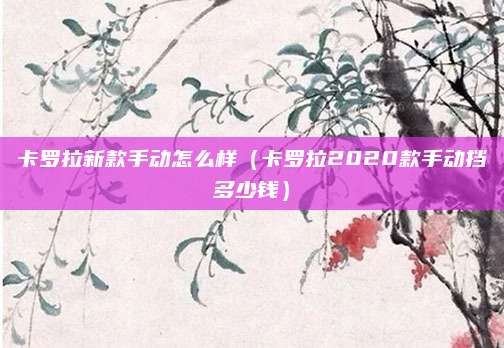 卡罗拉新款手动怎么样(卡罗拉2020款手动挡多少钱)