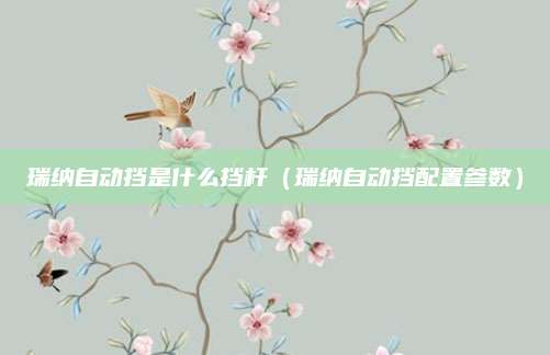 瑞纳自动挡是什么挡杆(瑞纳自动挡配置参数)