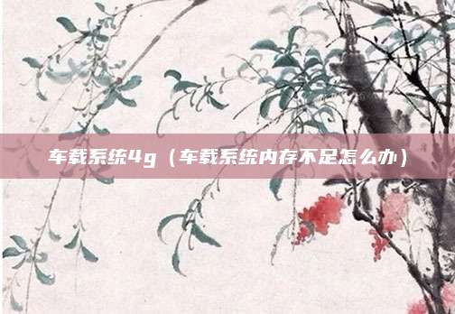 车载系统4g(车载系统内存不足怎么办)