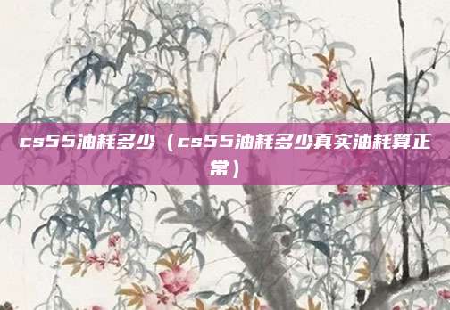 cs55油耗多少(cs55油耗多少真实油耗算正常)