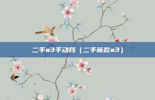 二手a3手动挡(二手新款a3)