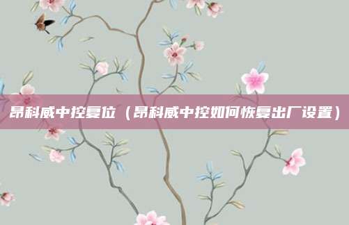 昂科威中控复位（昂科威中控如何恢复出厂设置）