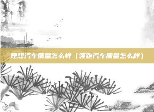 理想汽车质量怎么样（领跑汽车质量怎么样）