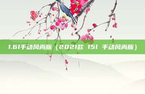 1.6l手动风尚版(2021款 15l 手动风尚版)