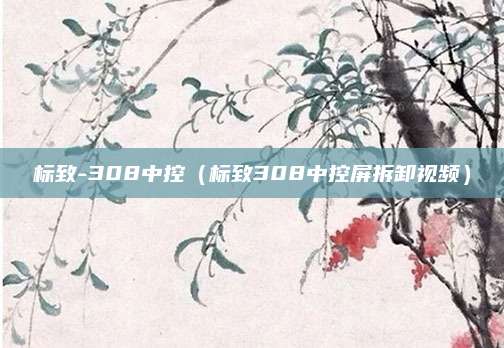 标致-308中控(标致308中控屏拆卸视频)