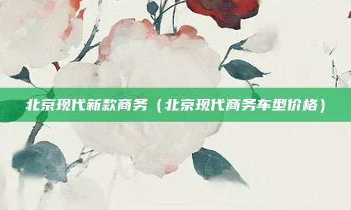 北京现代新款商务(北京现代商务车型价格)