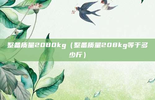 整备质量2080kg(整备质量208kg等于多少斤)