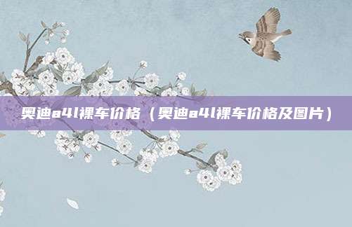 奥迪a4l裸车价格(奥迪a4l裸车价格及图片)