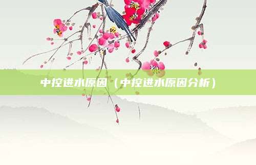 中控进水原因(中控进水原因分析)