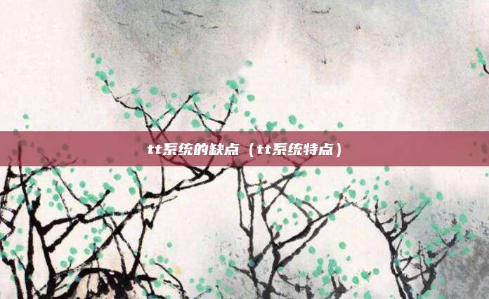 tt系统的缺点(tt系统特点)