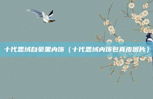 十代思域自豪黑内饰(十代思域内饰包真皮图片)