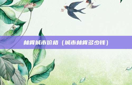 林肯城市价格(城市林肯多少钱)