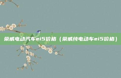 荣威电动汽车ei5价格(荣威纯电动车ei5价格)