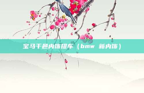 宝马干邑内饰提车(bmw 新内饰)