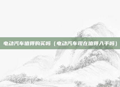 电动汽车值得购买吗(电动汽车现在值得入手吗)